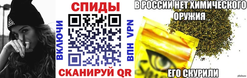 мега как войти  Завитинск  Бутират буратино 