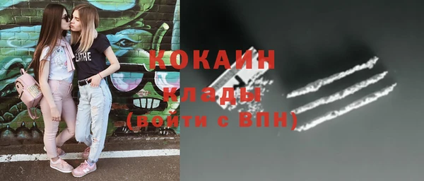 мдпв Дмитров