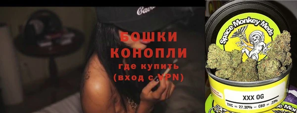 мдпв Дмитров