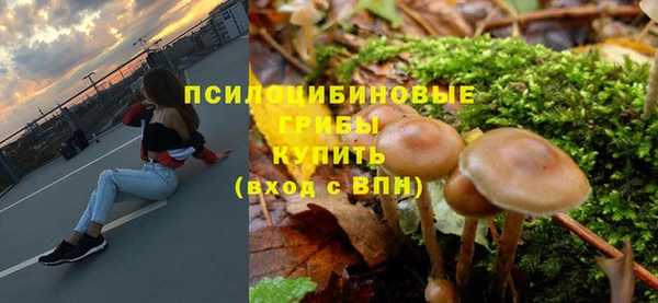мдпв Дмитров