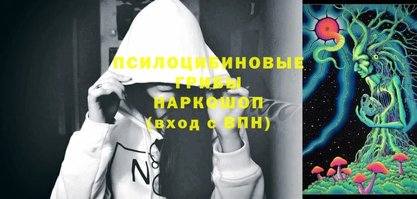 мдпв Дмитров