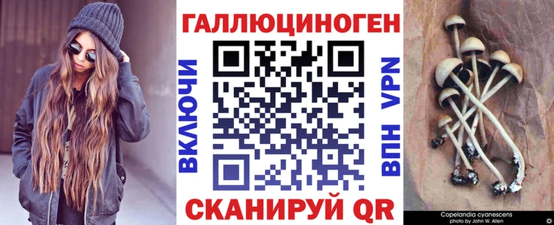 Галлюциногенные грибы мицелий  ОМГ ОМГ tor  Завитинск  купить  