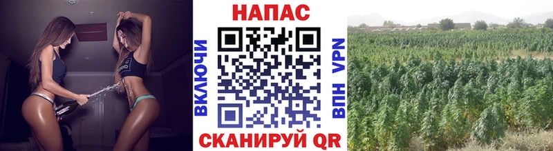ОМГ ОМГ ONION  Завитинск  darknet клад  Шишки марихуана VHQ 